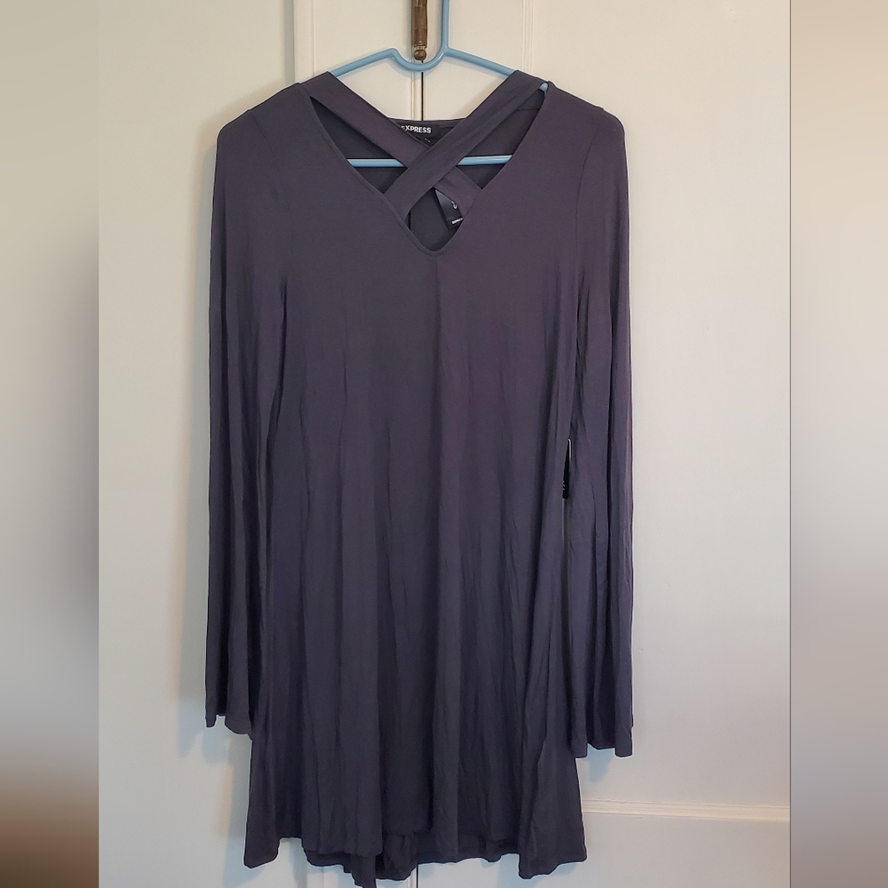 Express Longsleeve Dress